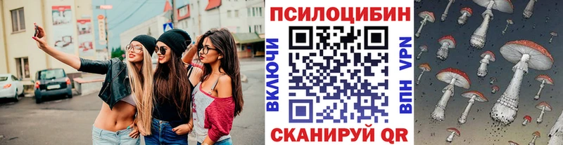 магазин  наркотиков  Берёзовка  Псилоцибиновые грибы Psilocybe 